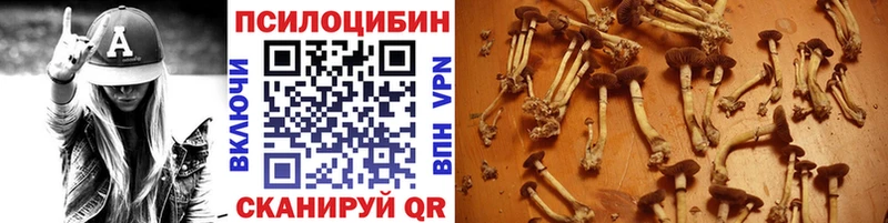 Галлюциногенные грибы мухоморы  OMG   Зарайск 